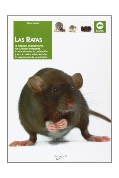 Las Ratas